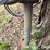 jcb-215s-image-8