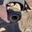 rhino-rc25-image-11