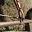 new-holland-258-image-20