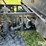 2009-polaris-ranger-hd-image-20