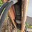jcb-215s-image-13
