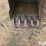 jcb-215s-image-9