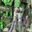 1973-john-deere-4630-image-10