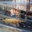#l39-009-•-40-gallon-2-stage-truck-mounted-air-compressor-image-13