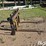 jcb-215s-image-4