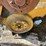 caterpillar-c12-image-11