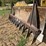#29413-•-root-rake-image-3