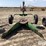 john-deere-12-image-6