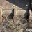 john-deere-77-image-13
