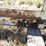 case-ih-2388-image-12