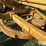 caterpillar-12-image-15