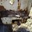 case-ih-2388-image-11