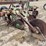 john-deere-28-image-19