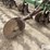 john-deere-25-image-20