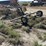 new-holland-258-image-3