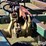 noble-7x5-image-12