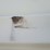 #l39-000-•-40ft-container-image-54
