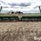 john-deere-8300-image-6