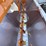 landhonor-no-till-drill-image-3