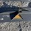 landhonor-skid-steer-utility-hitch-image-1