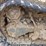 bobcat-mt55-image-11