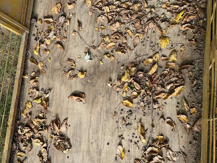 livestock-carrier-image-16