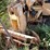 pettibone-8042-image-3