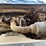 2005-ford-f150-xl-image-10