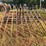 wooden-hay-loader-image-8