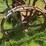 horse-drawn-sickle-mower-image-25
