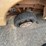 #1121-•-parts-truck-(no-title)-(offsite-in-la-union,-nm)-image-6
