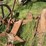 horse-drawn-sickle-mower-image-19