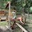 oliver-horse-drawn-sickle-mower-image-1