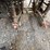 #1143-•-can-am-(offsite-in-la-union,-nm)-image-12