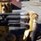 john-deere-8-image-31
