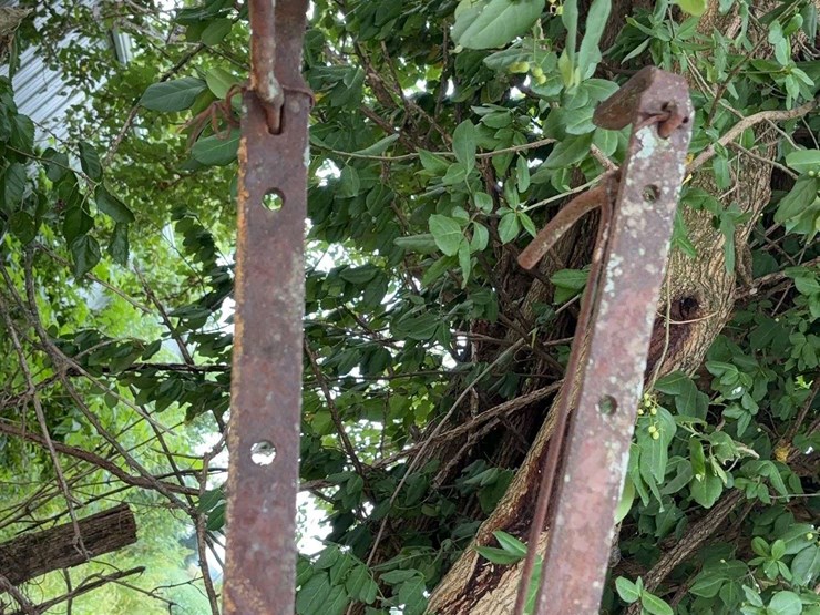 1-bottom-plow-image-15