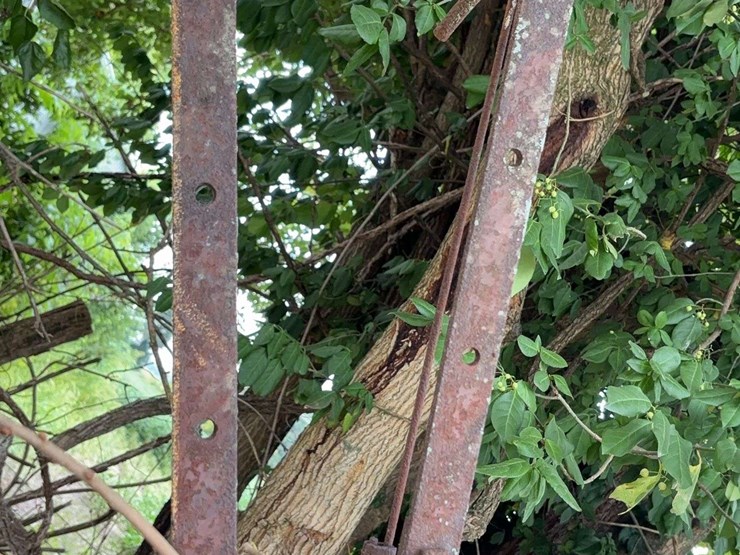 1-bottom-plow-image-14