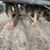 #1143-•-can-am-(offsite-in-la-union,-nm)-image-4