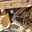 pettibone-8042-image-14