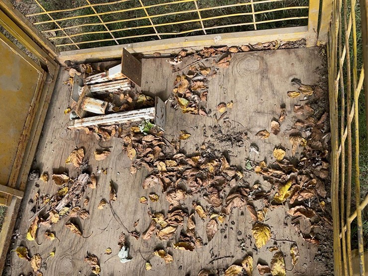 livestock-carrier-image-17