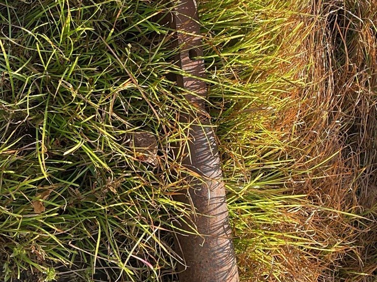 wards-best-flare-box-wagon-image-9