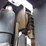 doosan-g25e-forklift-image-27