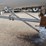 2005-polar-tank-image-3