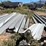 #1163-•-metal-building-(offsite-in-las-cruces,-nm)-image-7
