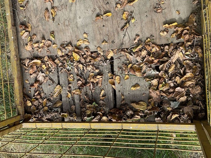 livestock-carrier-image-14