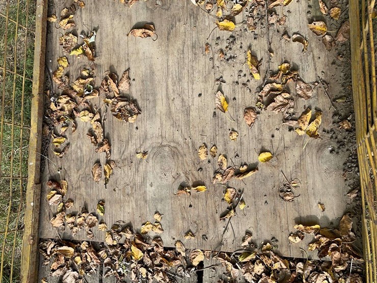 livestock-carrier-image-15