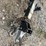 2019-rock-line-rs8-32-80"-x-9'-hyd-drop-down-trail-image-7