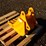 caterpillar-305-image-2