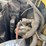 hyster-s50xm-image-31