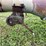 #4497-•-john-deere-auger-image-5